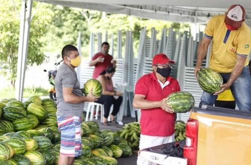 Governo incentiva agricultura familiar e segue na compra de produtos em meio à pandemia