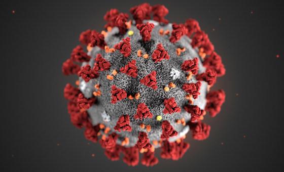 Dados indicam primeiro retrocesso do coronavírus desde o início da pandemia