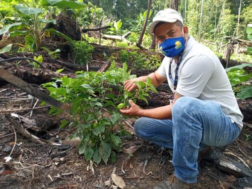 Idam realiza ações de inclusão social e produtiva de agricultores em Benjamin Constant