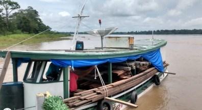Base Arpão apreende cinco metros cúbicos de madeira ilegal