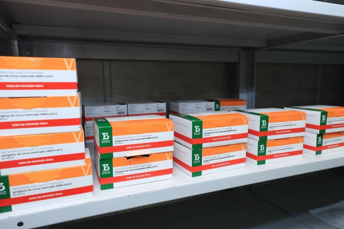 Amazonas recebe 98.500 doses de vacina contra a Covid-19 Amazonas recebe 98.500 doses de vacina contra a Covid-19