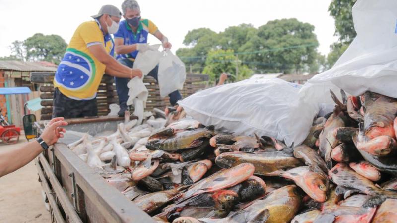 Prefeitura distribui 10 toneladas de pescado nesta sexta-feira em Parintins