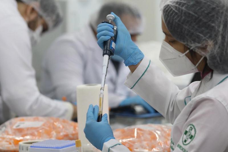 Estudo CovacManaus conclui primeira etapa de vacinação