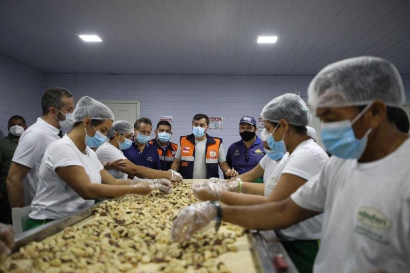 Governo do Amazonas investe R$ 1,059 milhão para estimular produção de castanha-do-brasil em Tapauá