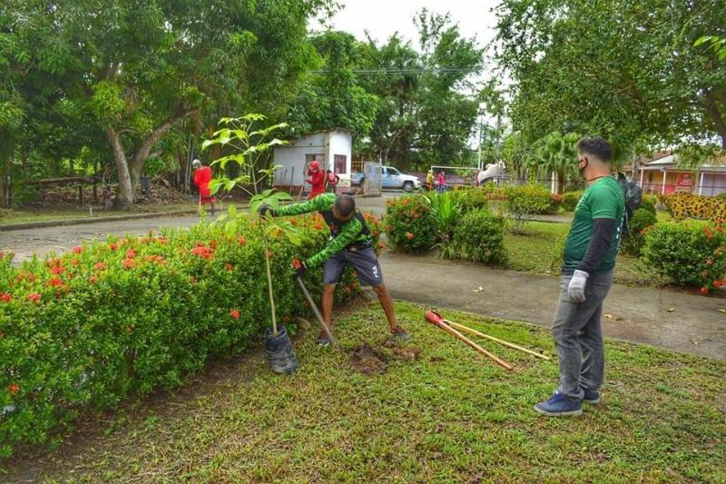 Boi Garantido lança projeto socioambiental para arborização do curral e de Parintins