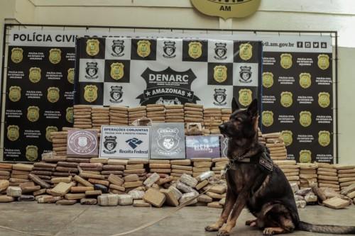 Em Manacapuru, Polícia Civil deflagra operação e apreende 600 quilos de maconha do tipo skunk avaliados em R$ 6 milhões