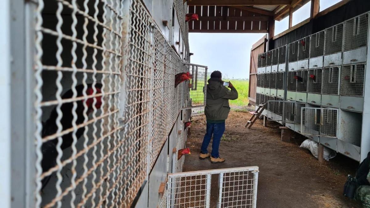 Operação Tamoiotatá multa em R$ 480 mil propriedade rural em Apuí