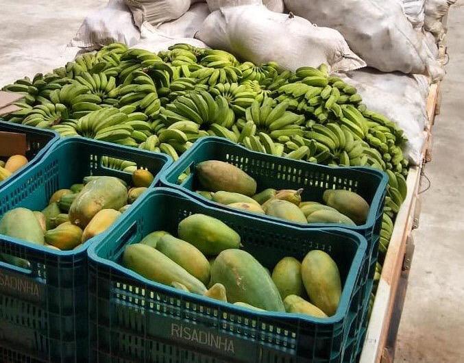 Programa Preme credenciou 1.043 mil fornecedores de produtos regionais para merenda escolar da rede estadual de ensino