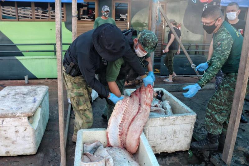 Em 2021, Batalhão Ambiental registra aumento de 800% nas apreensões de pescado ilegal