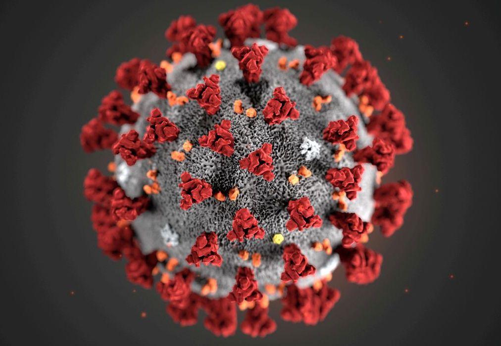 Número global de mortes por Covid-19 pode estar subestimado diz OMS
