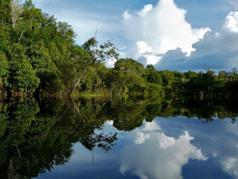 Governo do Amazonas realiza Fórum de Inovação em Investimentos na Bioeconomia Amazônica