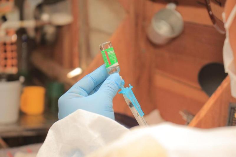 Parintins recebe 1,3 mil doses da vacina AstraZeneca; as doses serão destinadas para pessoas da área rural 