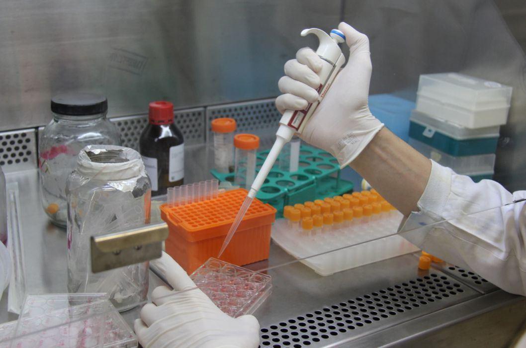 Pesquisadores desenvolvem testes rápidos para diagnóstico da Covid-19