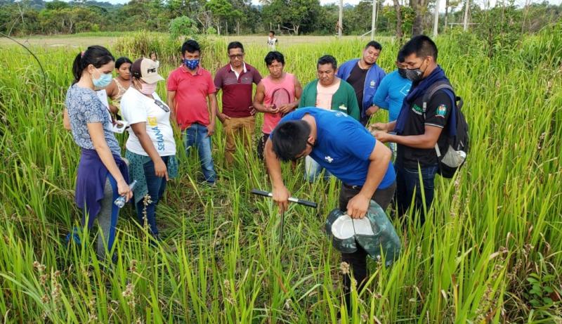 Prefeitura de Parintins faz diagnóstico da produção indígena Sateré-Mawé no Rio Uaicurapá 