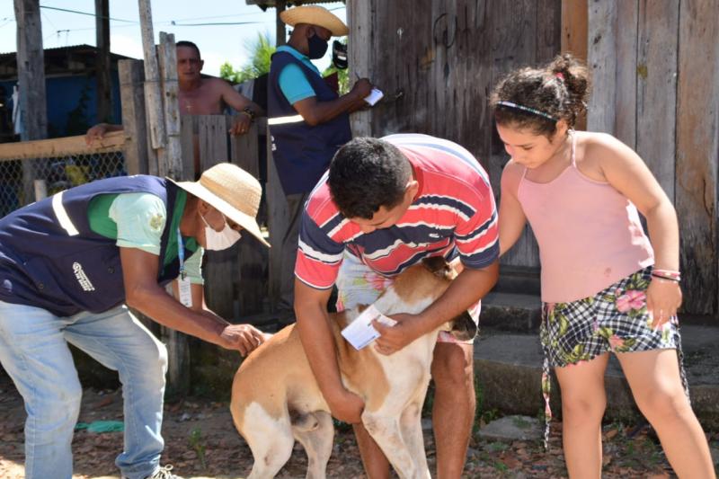 Prefeitura de Parintins avança com campanha de vacinação antirrábica de cães e gatos
