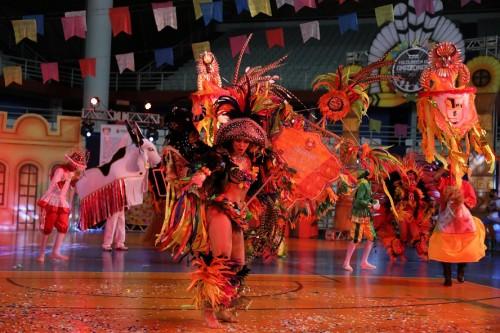 Abertas inscrições para o Seminário de Análise Crítica e Técnica do Festival Folclórico do Amazonas