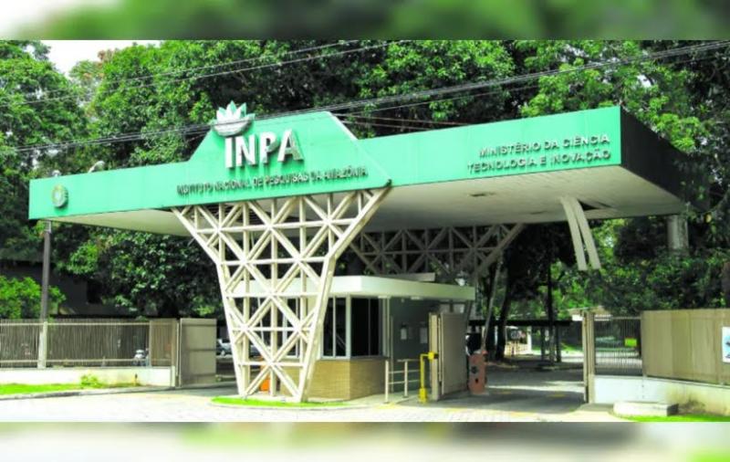 Inpa oferece 6 vagas para Mestrado em Ciências de Florestas Tropicais