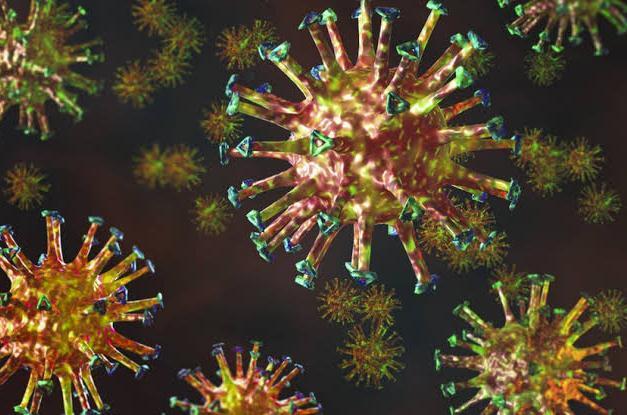 Programa da OMS vai comprar antivirais para combater Covid-19