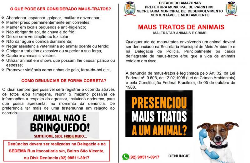 Em Parintins, campanha sensibiliza população para proteção de animais domésticos contra maus tratos 