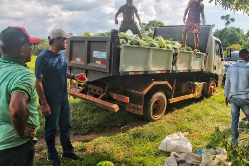 Prefeito em exercício, Mateus Assayag, acompanha colheita de melancia e dialoga com produtores do Laguinho e Murituba