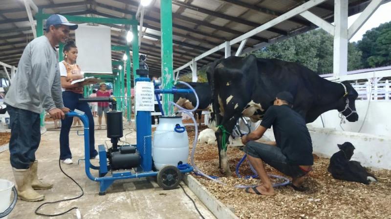 35ª Expopin abre inscrições para premiar melhor farinha, vaca leiteira, queijos e doce de leite