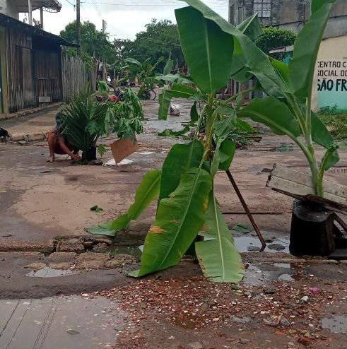 Moradores do Bairro São Francisco cobram asfalto e saneamento básico