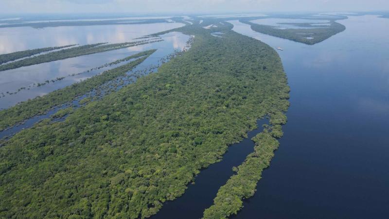 Amazonas é o estado com maior cobertura natural do Brasil, aponta MapBiomas