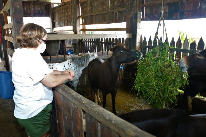 Educa+Amazonas: “Fazenda Escola” começa a receber estudantes em fevereiro de 2022