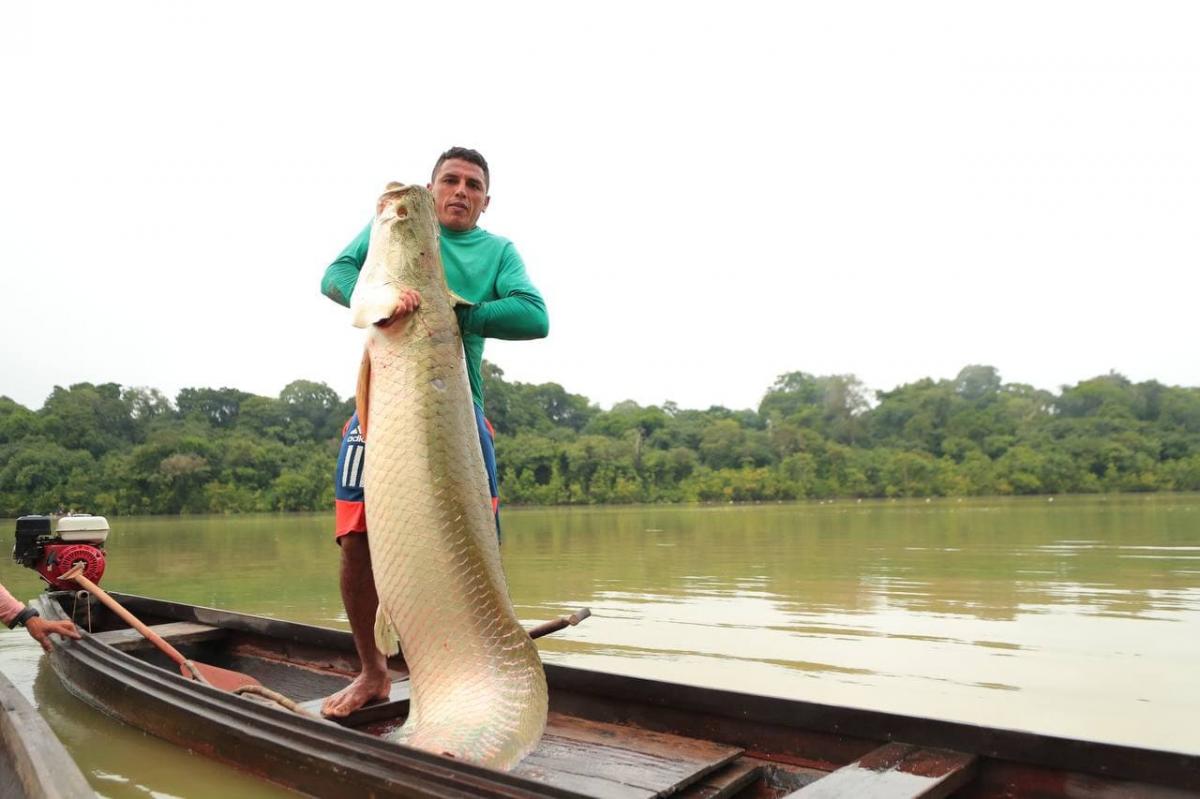 Amazonas ganhou três novos acordos de pesca ao longo de 2021