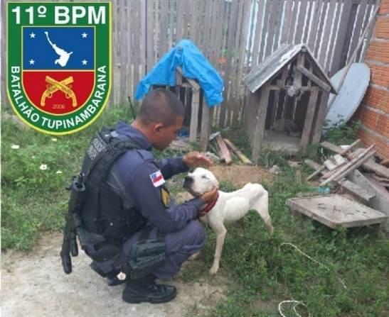 Polícia Militar resgata animais que sofriam maus tratos no Conjunto Habitacional Residencial Parintins 