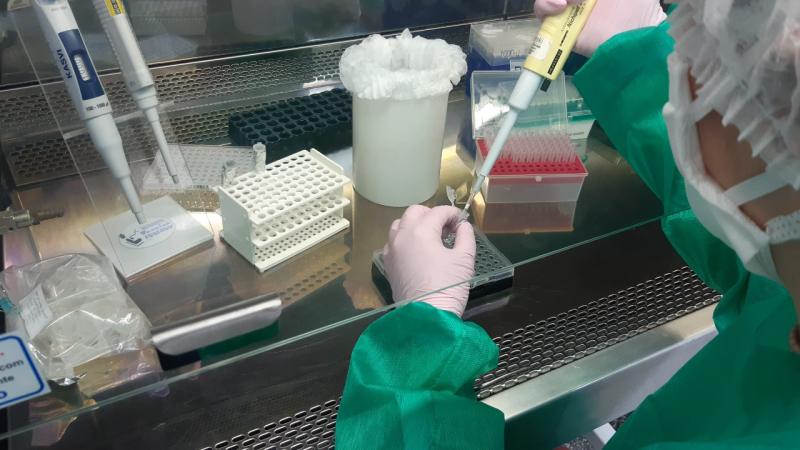 FMT-HVD recebe nova certificação de excelência do Ministério da Saúde