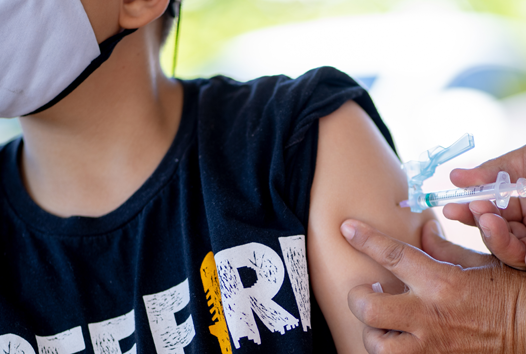 Ministério da Saúde distribui 2,6 milhões de doses da Coronavac para vacinação de crianças