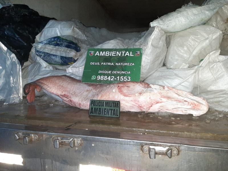 Comando de Policiamento Ambiental apreende transporte ilegal de pescado