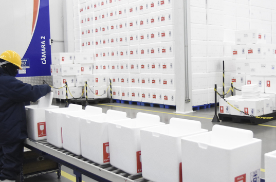 Ministério da Saúde envia mais 3,2 milhões de doses de vacinas contra Covid-19