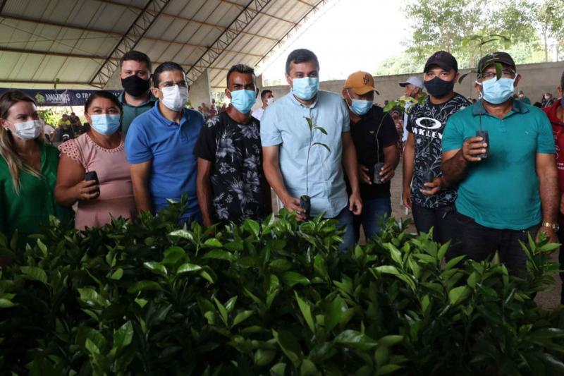 Wilson Lima entrega 4,6 mil mudas e fomento de R$ 150 mil para agricultura familiar em Careiro da Várzea