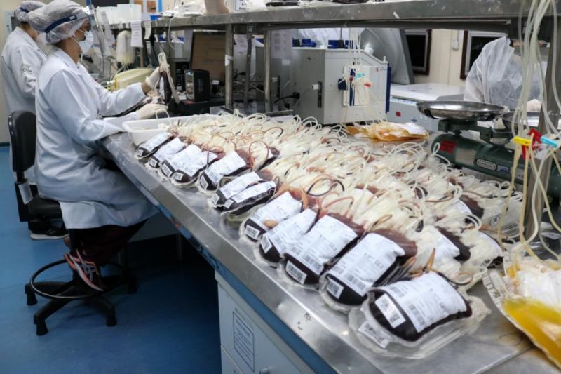 FVS-RCP prepara plano de ação para implantação do Plano Estadual em Hemovigilância no Amazonas