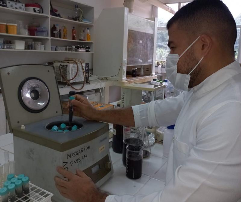 Casca do ingá-cipó pode gerar álcool gel, aponta pesquisa apoiada pelo Governo do Estado