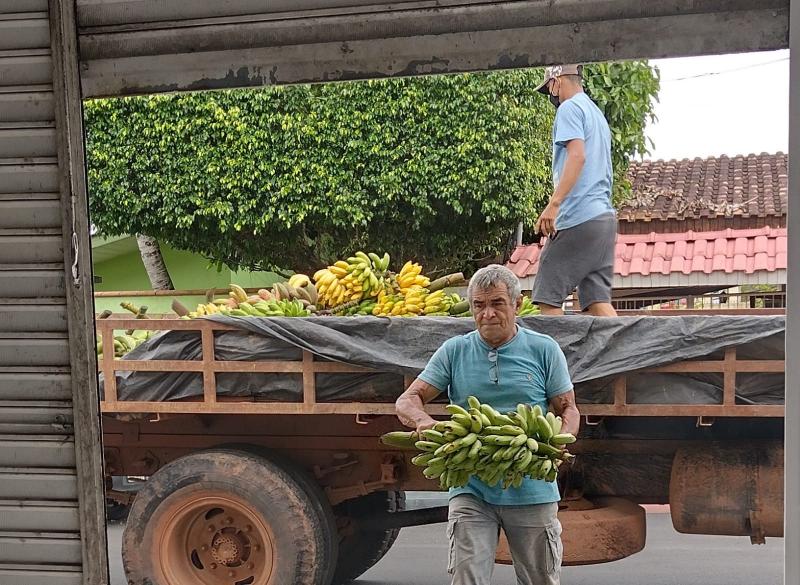 Prefeitura de Parintins compra banana de agricultor familiar para a merenda escolar regionalizada