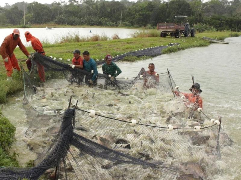 Pagamento do Seguro Defeso vai injetar cerca de R$14 milhões à economia do Amazonas