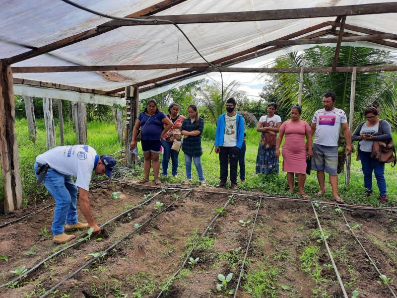 Moradores da ocupação do Pascoal Allágio são qualificados no cultivo de hortaliças pelo Cetam e Sempa