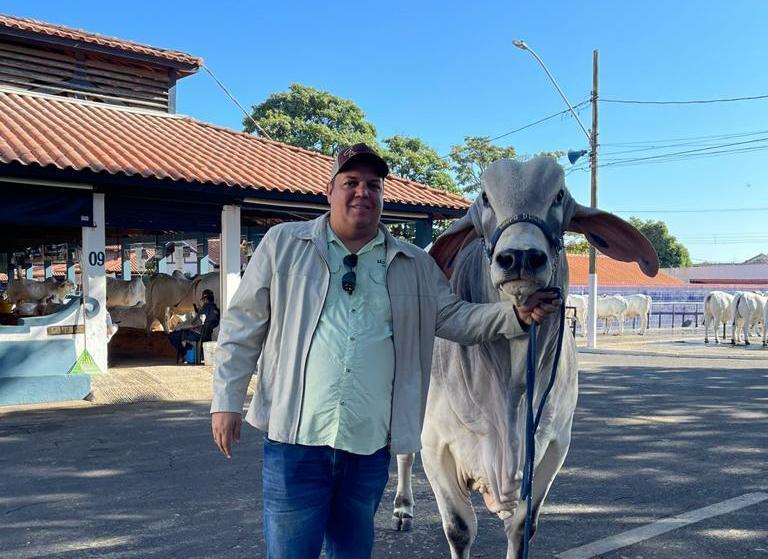 Touro e bezerra da TabapuãFIG, de neto do Teixeirão, são campeões na maior feira de pecuária zebuína do mundo