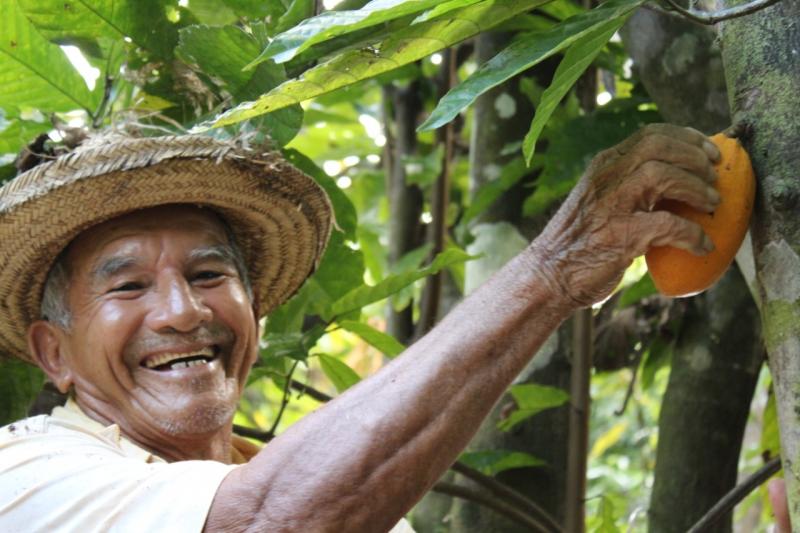 Sema divulga resultado final de certame para seleção de entidade executora do Guardiões da Floresta