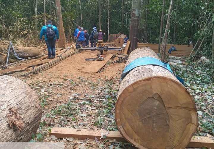 Polícia Militar em ação conjunta com agentes da Sedema realizam apreensão de madeira irregular no rio Uaicurapá