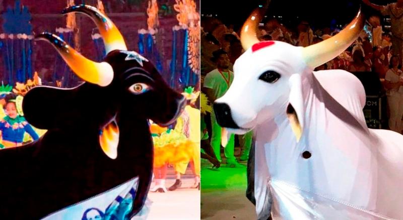 Noite de resistência: Caprichoso e Garantido preparam segunda apresentação no Festival de Parintins