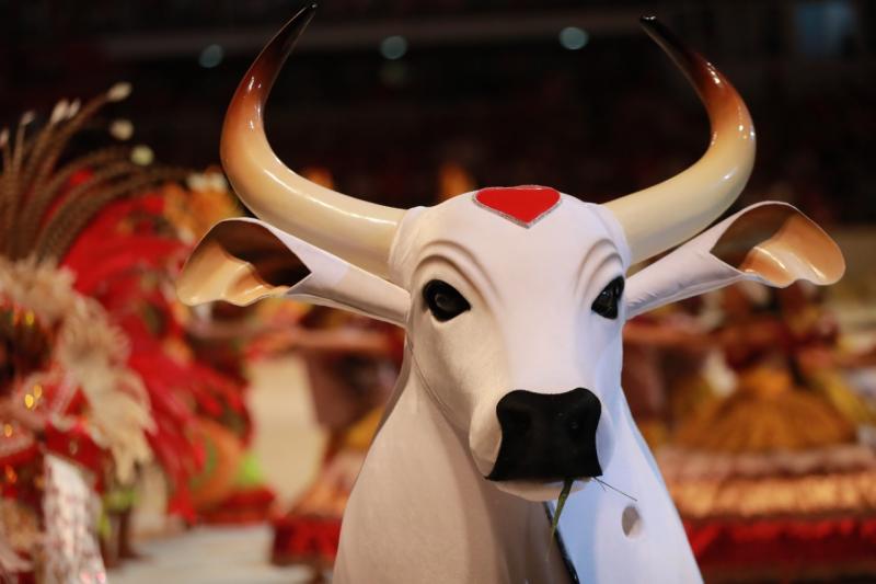 Após derrota no Festival, presidência do Garantido extingue DGE e afirma que vai ‘valorizar quem nos valorizou sempre’