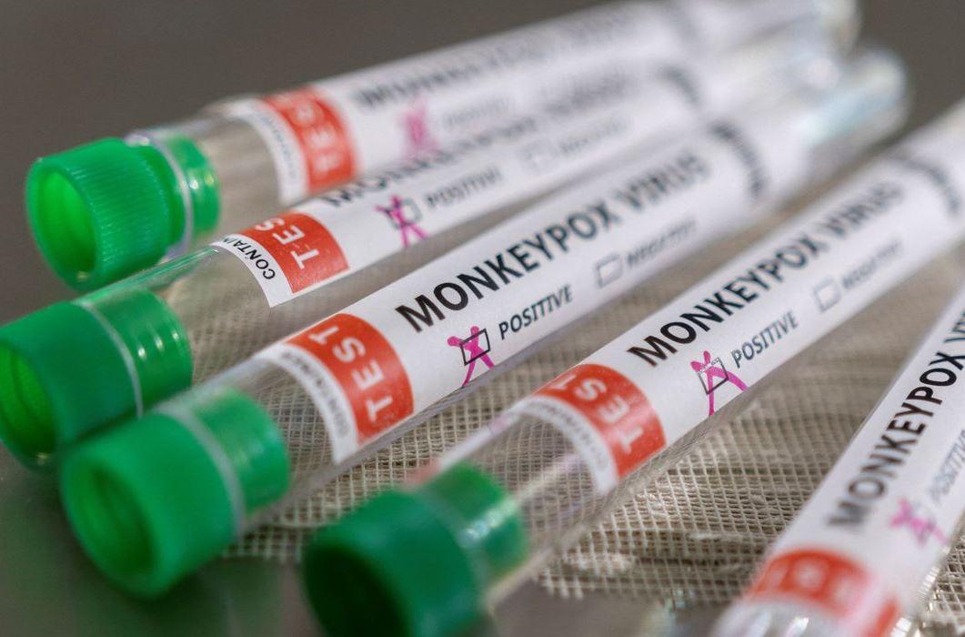 Brasil tem 106 casos de varíola dos macacos confirmados