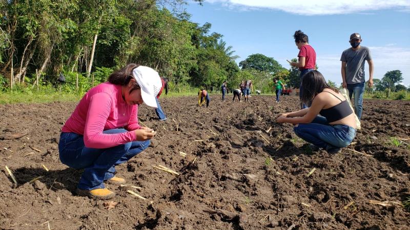 No Aninga, produtor prepara área para pecuária de leite, com apoio da Sempa, Embrapa e curso de zootecnia da Ufam