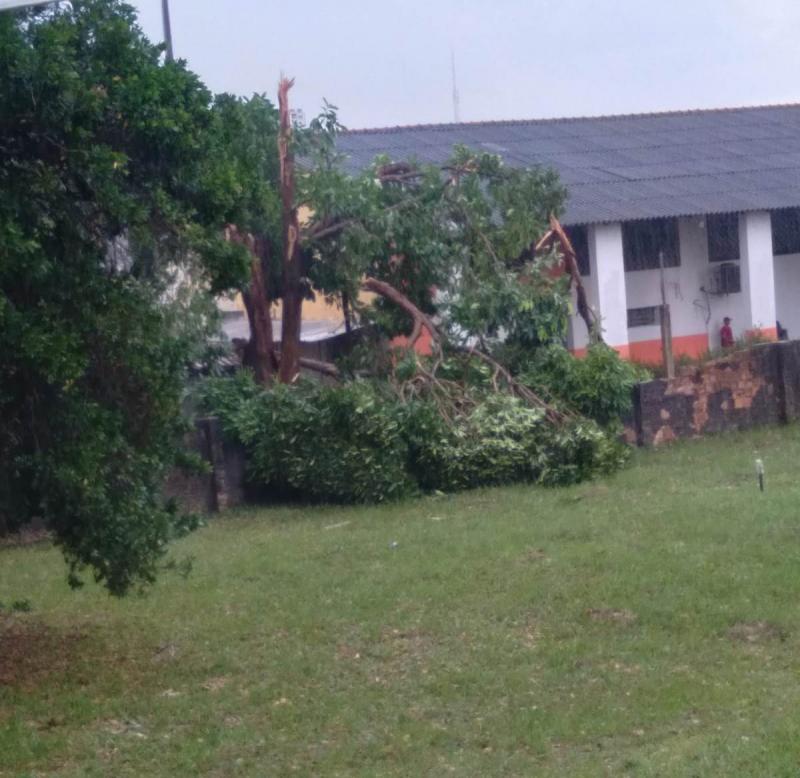 Forte chuva assusta, causa destelhamento, alagações e queda de árvores em Parintins