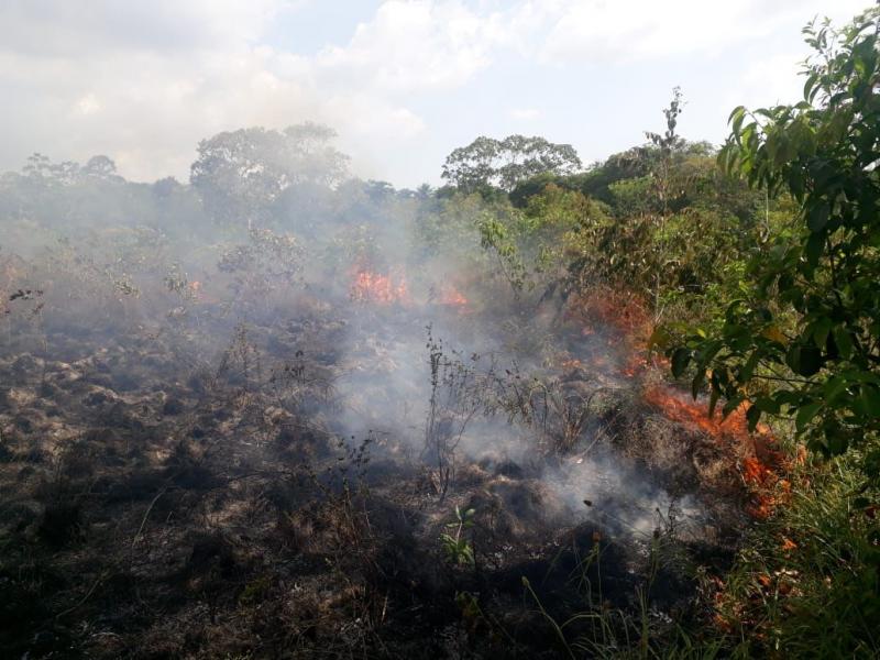 Incêndio destrói área de mata em Parintins