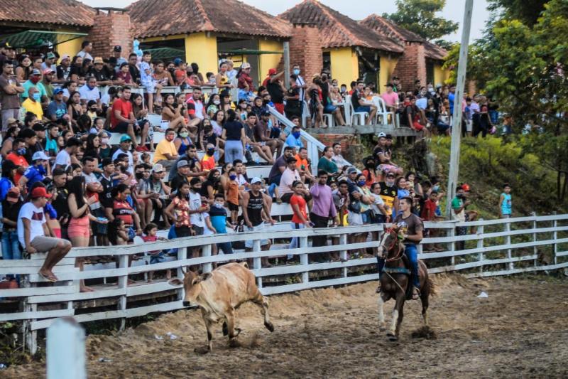 Prova do Laço da 36ª Expopin terá R$ 20 mil em premiação para os melhores vaqueiros